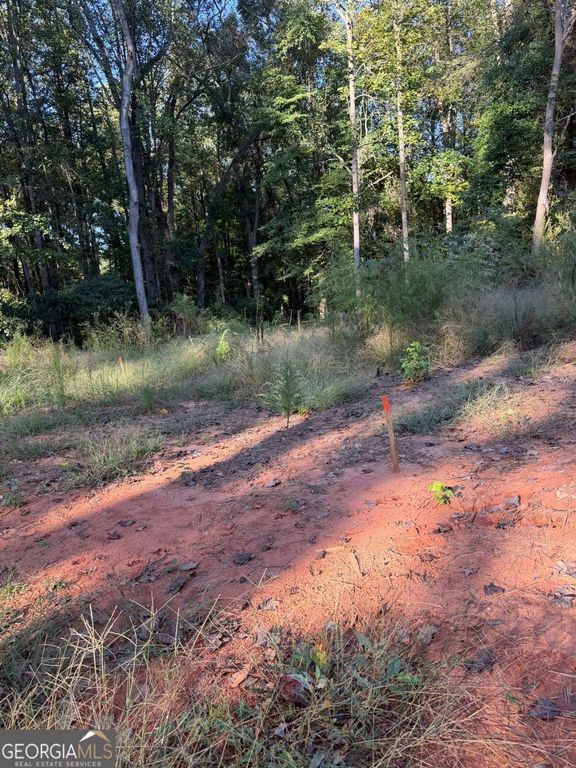 92 Ida Pace Road, Nicholson, GA 30565 — photo 2