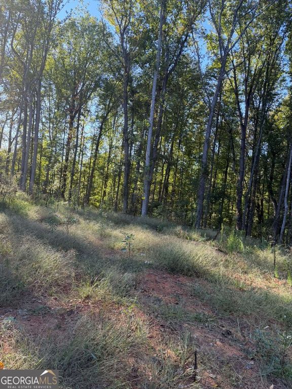 92 Ida Pace Road, Nicholson, GA 30565 — photo 5