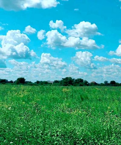 30250 S COTTAGE GROVE Avenue, Beecher, IL 60401