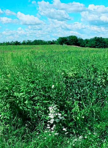 30250 S COTTAGE GROVE Avenue, Beecher, IL 60401