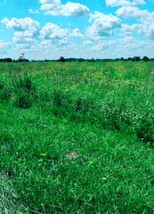 30250 S COTTAGE GROVE Avenue, Beecher, IL 60401