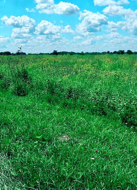 30250 S COTTAGE GROVE Avenue, Beecher, IL 60401