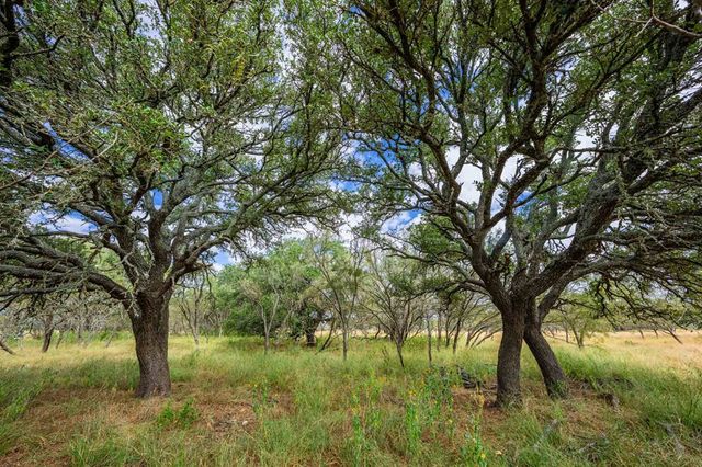 6754 N Grape Creek Rd., Fredericksburg, TX 78625