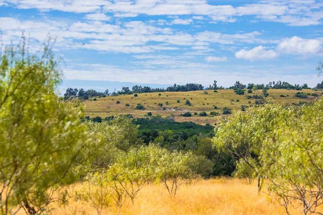 6754 N Grape Creek Rd., Fredericksburg, TX 78625