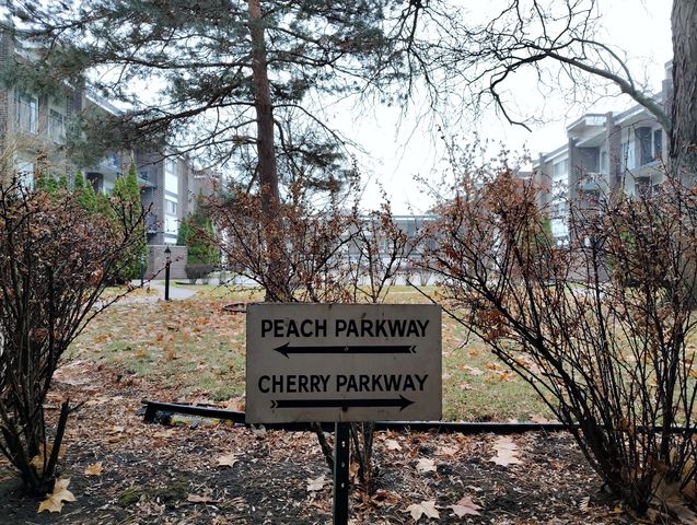 10116 Peach Parkway N110, Skokie, IL 60076