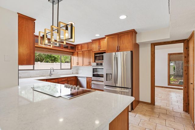 2925 CHELSEA WOODS DRIVE, Valrico, FL 33596