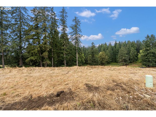 3508 N 12TH Cir, Ridgefield, WA 98642