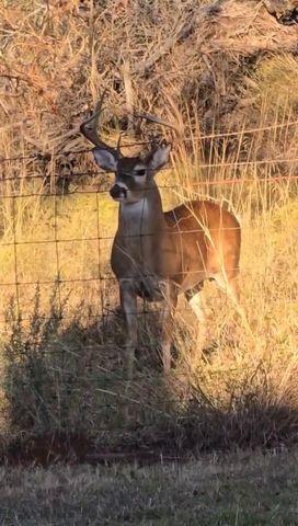 1596 County Road 510, Stephenville, TX 76401