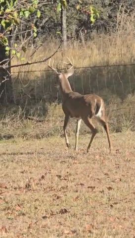 1596 County Road 510, Stephenville, TX 76401