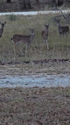 1596 County Road 510, Stephenville, TX 76401
