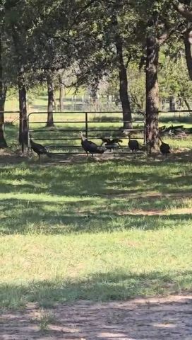 1596 County Road 510, Stephenville, TX 76401