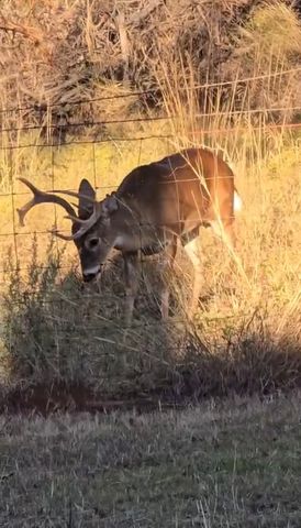 1596 County Road 510, Stephenville, TX 76401