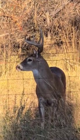 1596 County Road 510, Stephenville, TX 76401