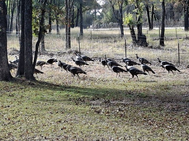1596 County Road 510, Stephenville, TX 76401