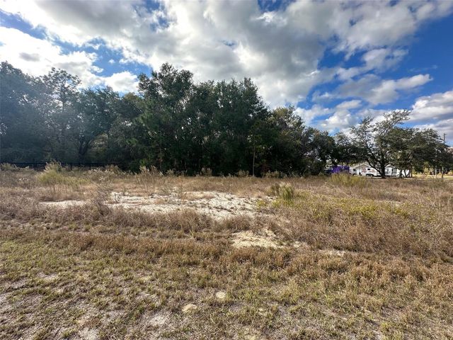 00 MAPLE LANE, Ocklawaha, FL 32179