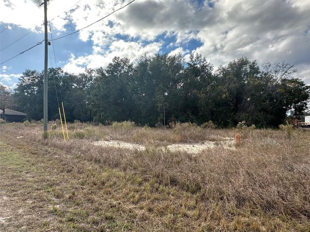00 MAPLE LANE, Ocklawaha, FL 32179