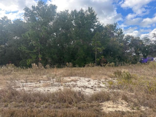 00 MAPLE LANE, Ocklawaha, FL 32179