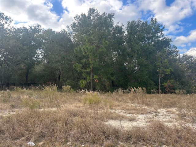 00 MAPLE LANE, Ocklawaha, FL 32179