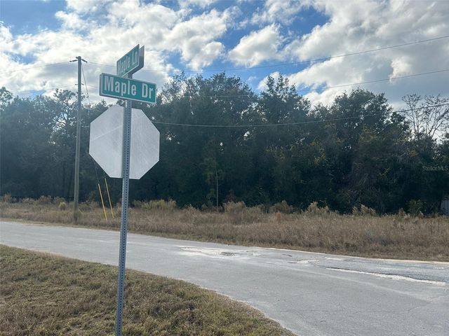 00 MAPLE LANE, Ocklawaha, FL 32179