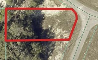 00 MAPLE LANE, Ocklawaha, FL 32179