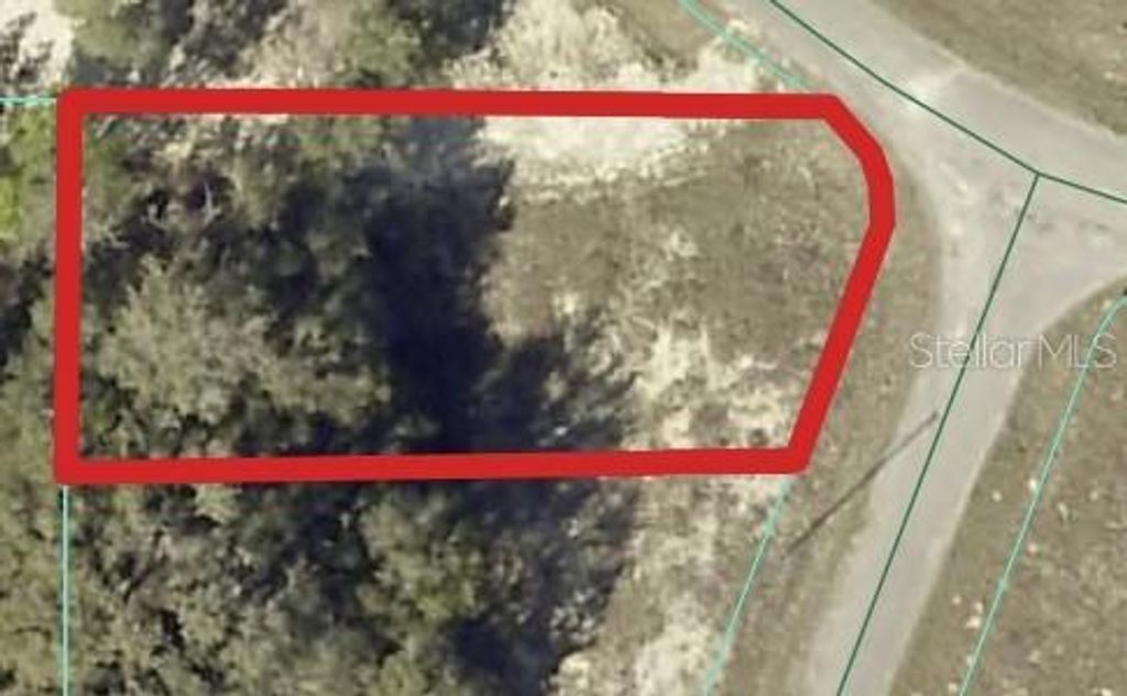 00 MAPLE LANE, Ocklawaha, FL 32179