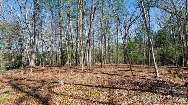 12 Stuyvesant Crescent, Asheville, NC 28803