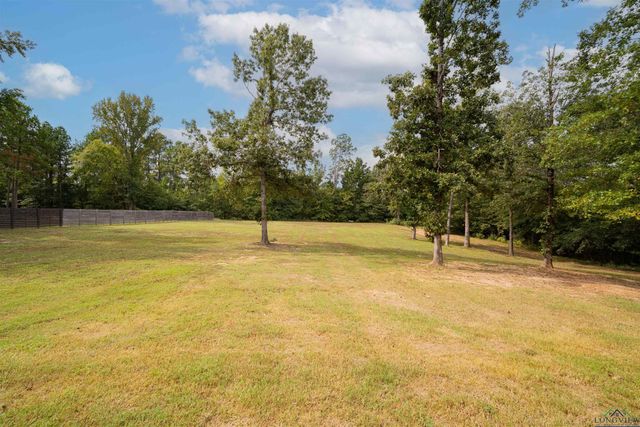 115 CR 2160D, Tatum, TX 75691