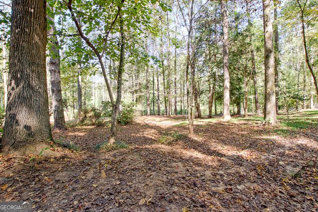 175 Grace Lane, Tyrone, GA 30290