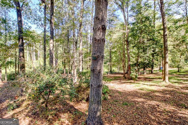 175 Grace Lane, Tyrone, GA 30290