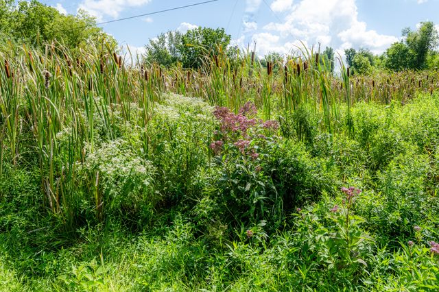 13228 Dutch Settlement Road, Marcellus, MI 49067