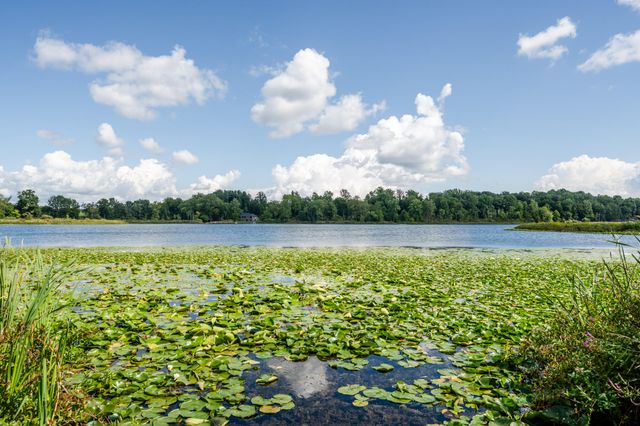 13228 Dutch Settlement Road, Marcellus, MI 49067