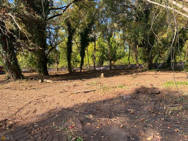 0 Lovejoy Street @ E ATLANTA RD, Stockbridge, GA 30281