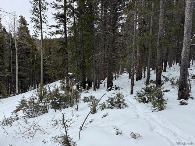 Lot 2759 Purnell Lane, Fort Garland, CO 81133