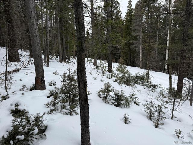 Lot 2759 Purnell Lane, Fort Garland, CO 81133