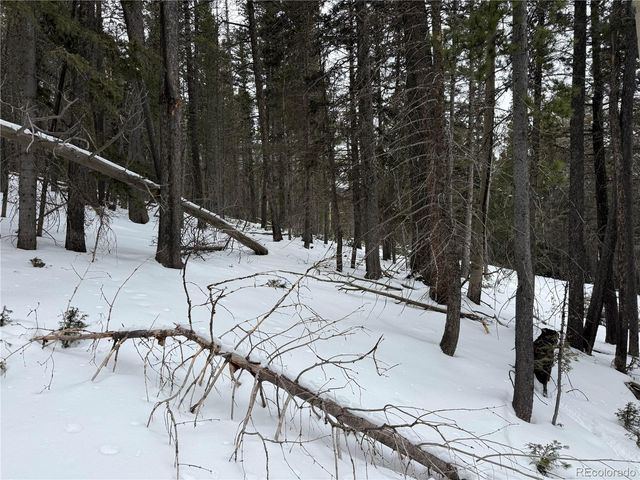 Lot 2759 Purnell Lane, Fort Garland, CO 81133