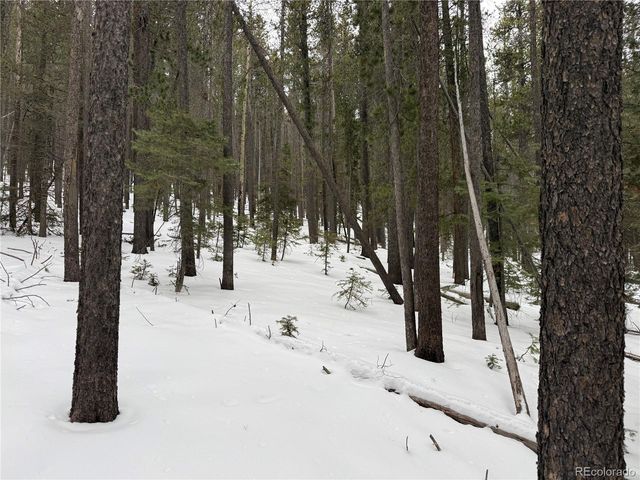 Lot 2759 Purnell Lane, Fort Garland, CO 81133