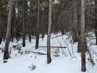 Lot 2759 Purnell Lane, Fort Garland, CO 81133