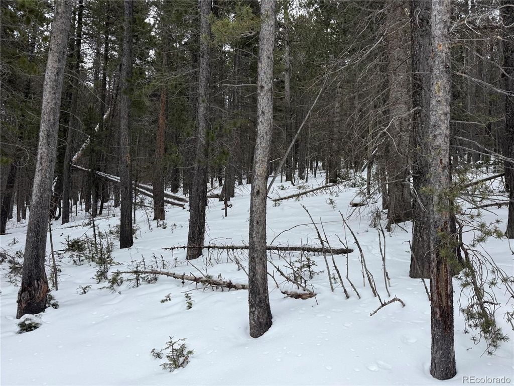 Lot 2759 Purnell Lane, Fort Garland, CO 81133