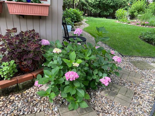 1508 Pinecrest Avenue SE, Grand Rapids, MI 49506