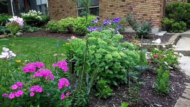 1508 Pinecrest Avenue SE, Grand Rapids, MI 49506