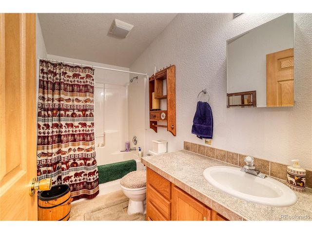 10 Stuart Vista Ct, Idaho Springs, CO 80452