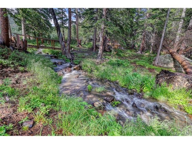 10 Stuart Vista Ct, Idaho Springs, CO 80452