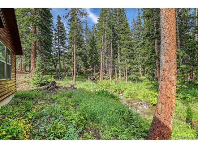 10 Stuart Vista Ct, Idaho Springs, CO 80452