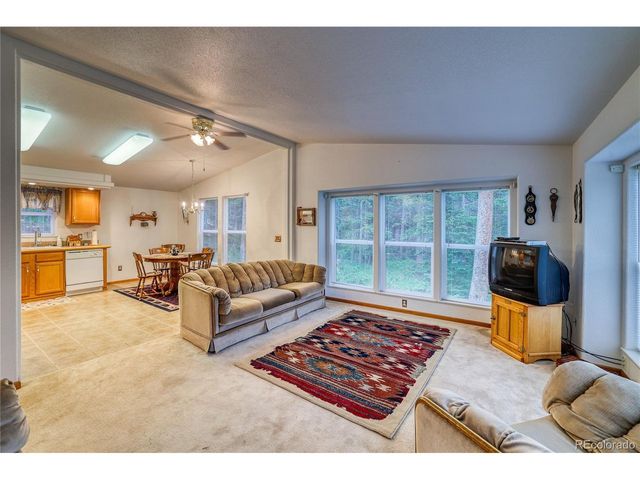 10 Stuart Vista Ct, Idaho Springs, CO 80452