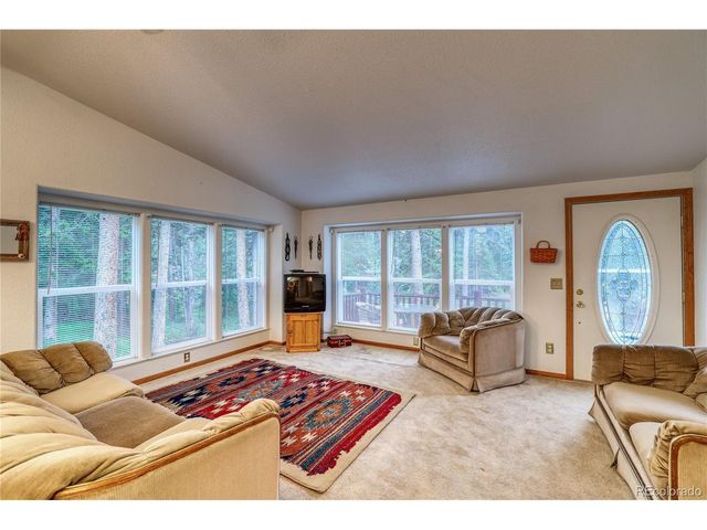 10 Stuart Vista Ct, Idaho Springs, CO 80452