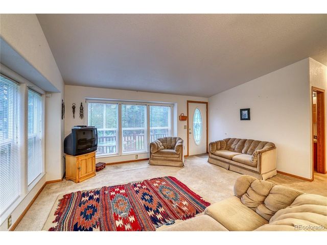 10 Stuart Vista Ct, Idaho Springs, CO 80452