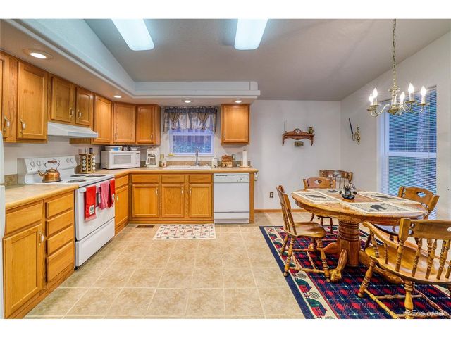 10 Stuart Vista Ct, Idaho Springs, CO 80452