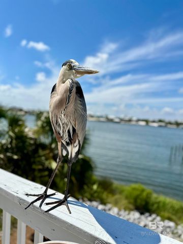 16590 Perdido Key Drive 6A, Pensacola, FL 32507