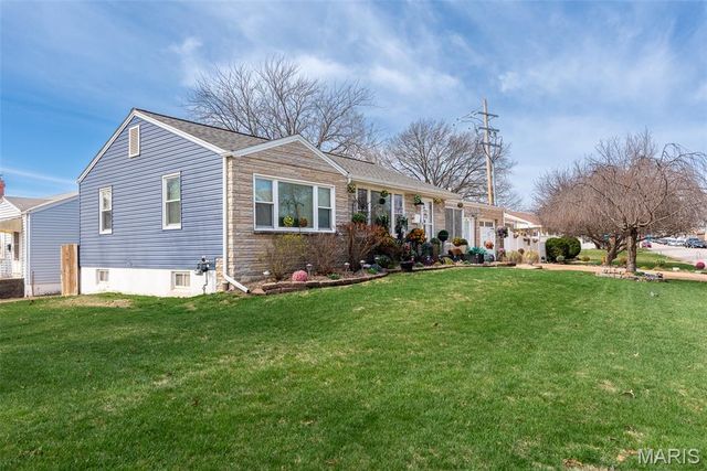 4028 Blow Street, St Louis, MO 63116