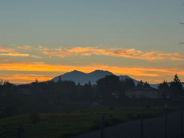 1517 Buena Vista St, Brentwood, CA 94513